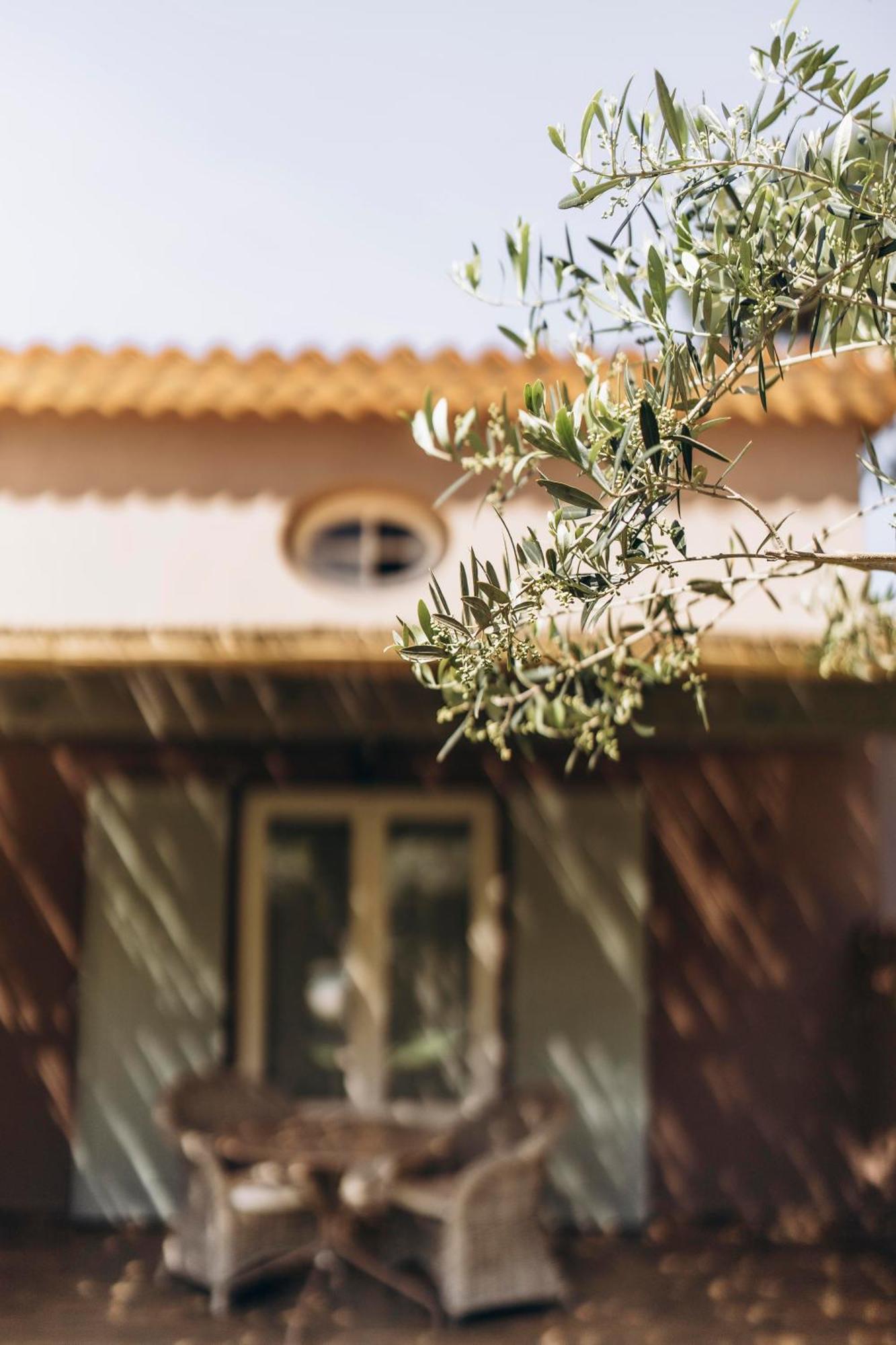 La Villa D'Andrea Ramatuelle Eksteriør bilde