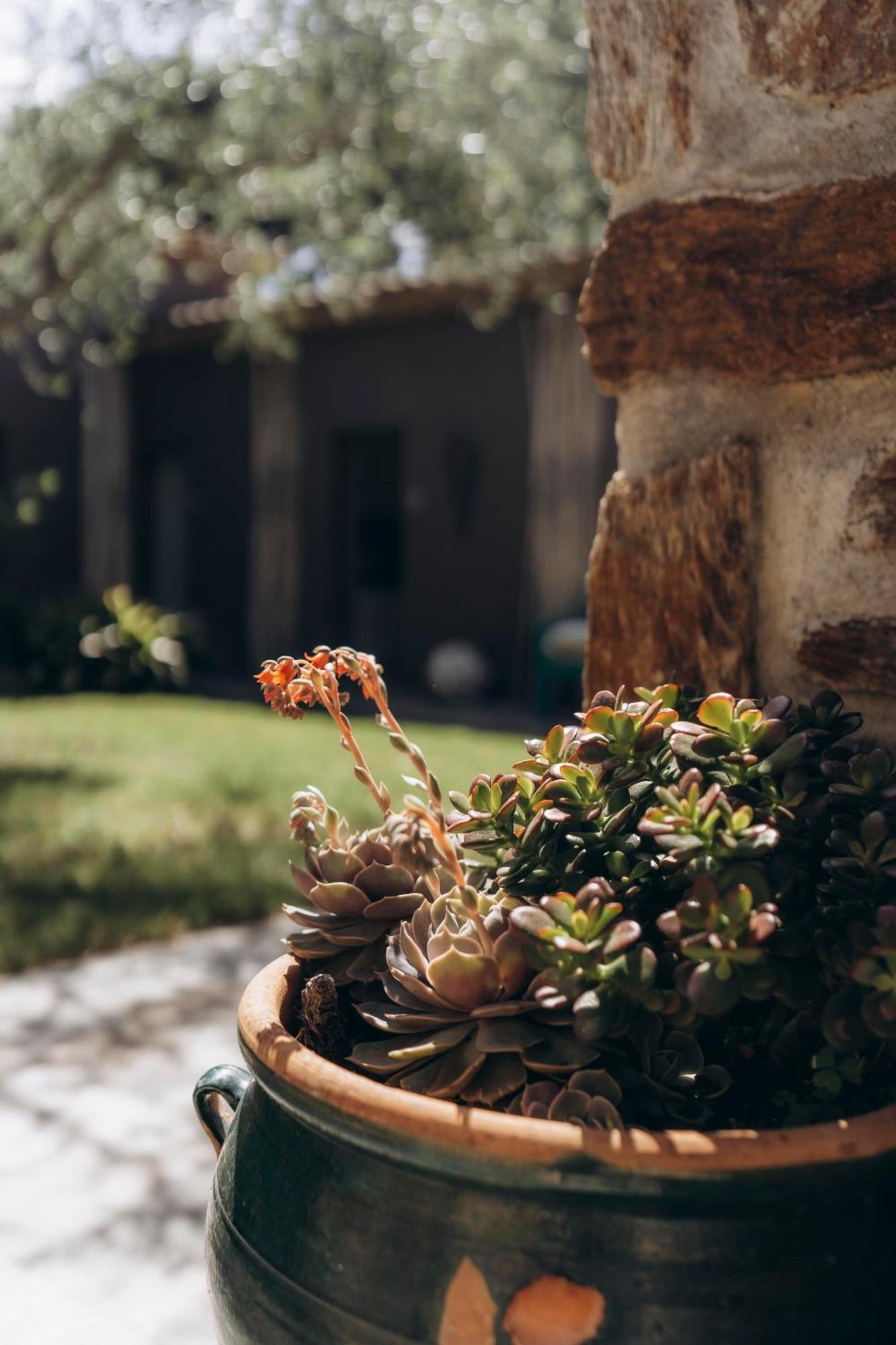 La Villa D'Andrea Ramatuelle Eksteriør bilde
